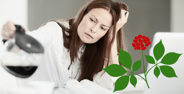 Сила адаптогенів у боротьбі із синдромом хронічної втоми